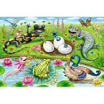 Hello Hatchlings - 60 XXL Pieces