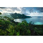Hawaiian Viewpoint