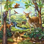 Forest / Zoo / Domestic Animals - 3 x 49 Piece Puzzles