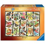 Tropical Butterflies