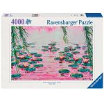 Pink Water Lilies