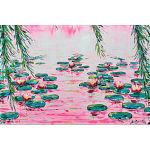Pink Water Lilies