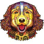 Rainbow Wooden Puzzle - Bernese Mountain