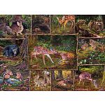 Into The Woods - Family Pieces Puzzle