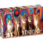Five Cats