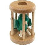Parakeet in a Cage