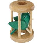 Parakeet in a Cage