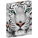 White Siberian Tiger