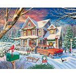 Family Christmas