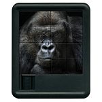 Animal Kingdom Sliding Piece Puzzle - Gorilla