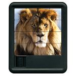 Animal Kingdom Sliding Piece Puzzle - Lion