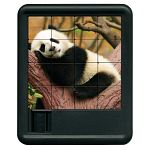 Animal Kingdom Sliding Piece Puzzle - Panda