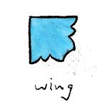 Wing - Acrylic Packing Puzzle