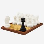 Assassin Chess Puzzle