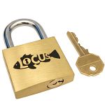 Locus - Puzzle Lock