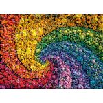 Whirl: Colorbloom Collection