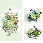 Loz Blocks Mini: Eternal Flowers - Potted Succulent Plants