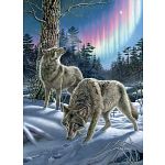 Northern Lights - Large Piece
