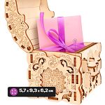 Secret Treasure Box - DIY Wooden Puzzle Gift Box Model Kit