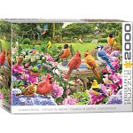 Birds Gathering