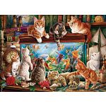 Cats By The Aquarium
