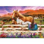 Horse & Foal