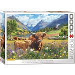 Highland Cows