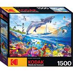 Playful Summer Dolphins - Kodak Premium Puzzles