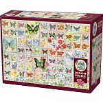 Butterflies and Blossoms