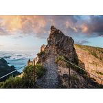 Beautiful Walkways: Pathway to Heaven