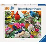 Garden Birds