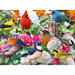 Garden Birds