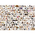 The World Of Dogs