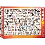 The World Of Cats