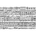 Musical Notes