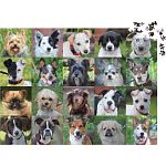 Rescue Dogs - 1000 Piece Jigsaw Puzzle