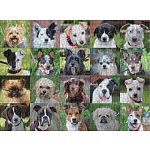 Rescue Dogs - 1000 Piece Jigsaw Puzzle
