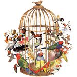 Bouquet of Birds - 750 Piece Shaped Puzzle