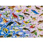Salty Birds
