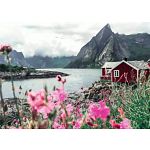 Scandinavian Places: Lofoten, Norway