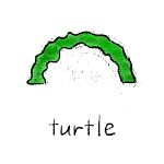 Turtle - Acrylic Packing Puzzle