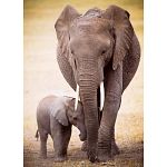Elephant & Baby - 1000 Piece Jigsaw Puzzle
