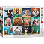 Funny Animals - 1000 Piece Jigsaw Puzzle