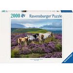 Wild Horses in the Heather - 2000 Piece Jigsaw Puzzle