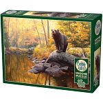 Black Bear Pond