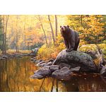 Black Bear Pond
