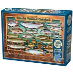 World Records Catches - Large Piece