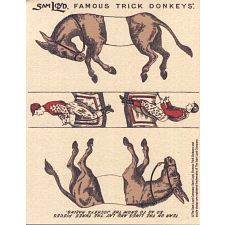 Famous Trick Donkeys - Small - 