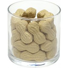 Glass Puzzle - Peanuts