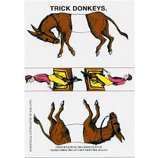 Trick Donkeys - Mini